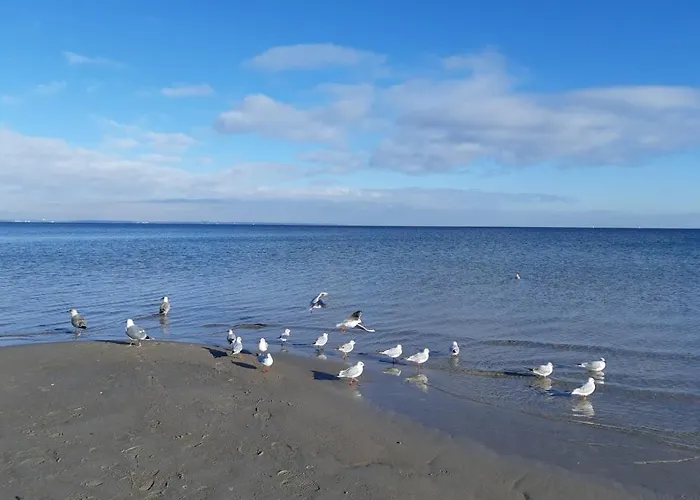 Ferienhaus Krabbe 1 Schmiedeberg Timmendorfer Strand Niendorf