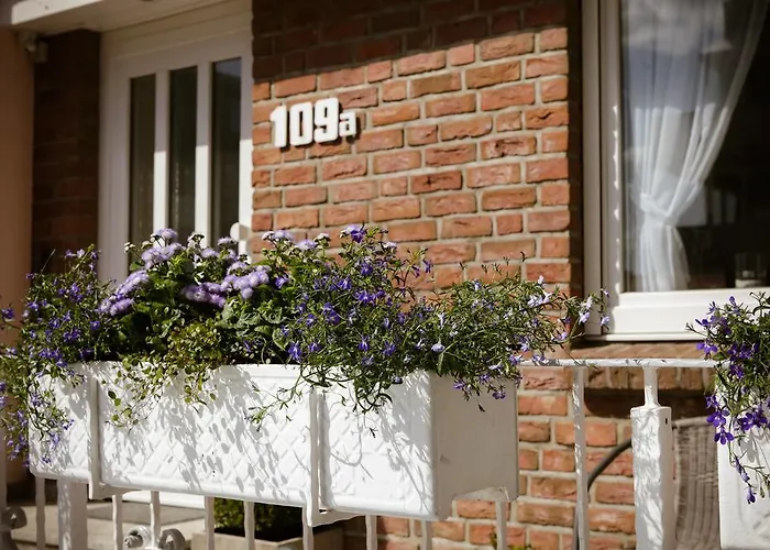 Das Sonnenblumenhaus